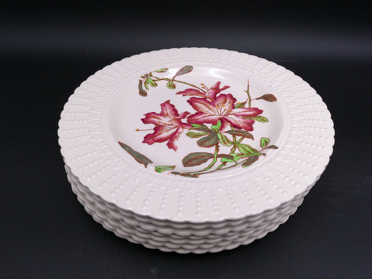 Stack of Plates Cauldon Flowers Series 2481 Flower Designs (9.5 In.) England