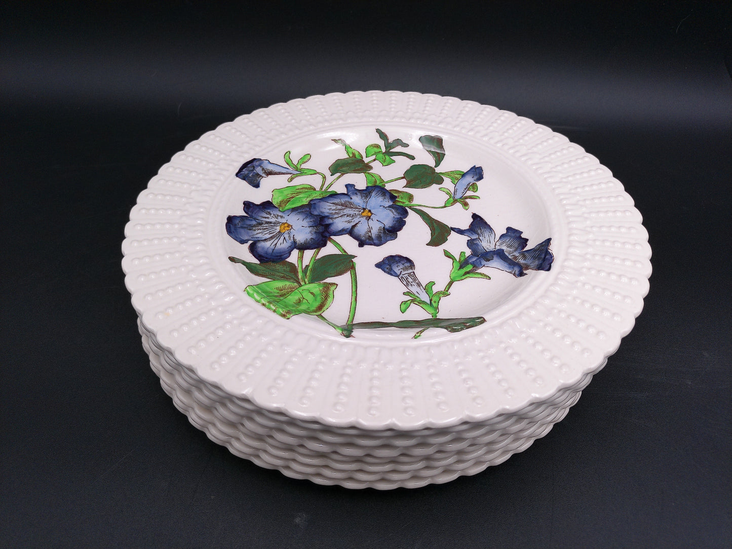 Stack of Plates Cauldon Flowers Series 2481 Flower Designs (9.5 In.) England