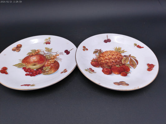 Mitterteich German Fruit Plates Lot of 2 Vintage