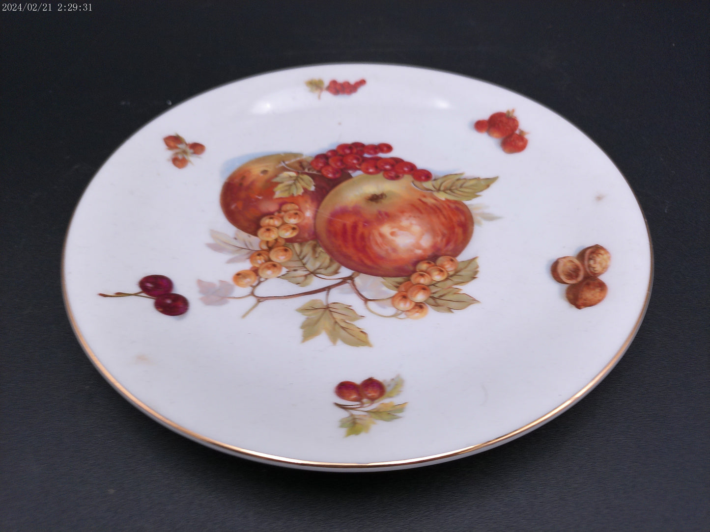 Mitterteich German Fruit Plates Lot of 2 Vintage