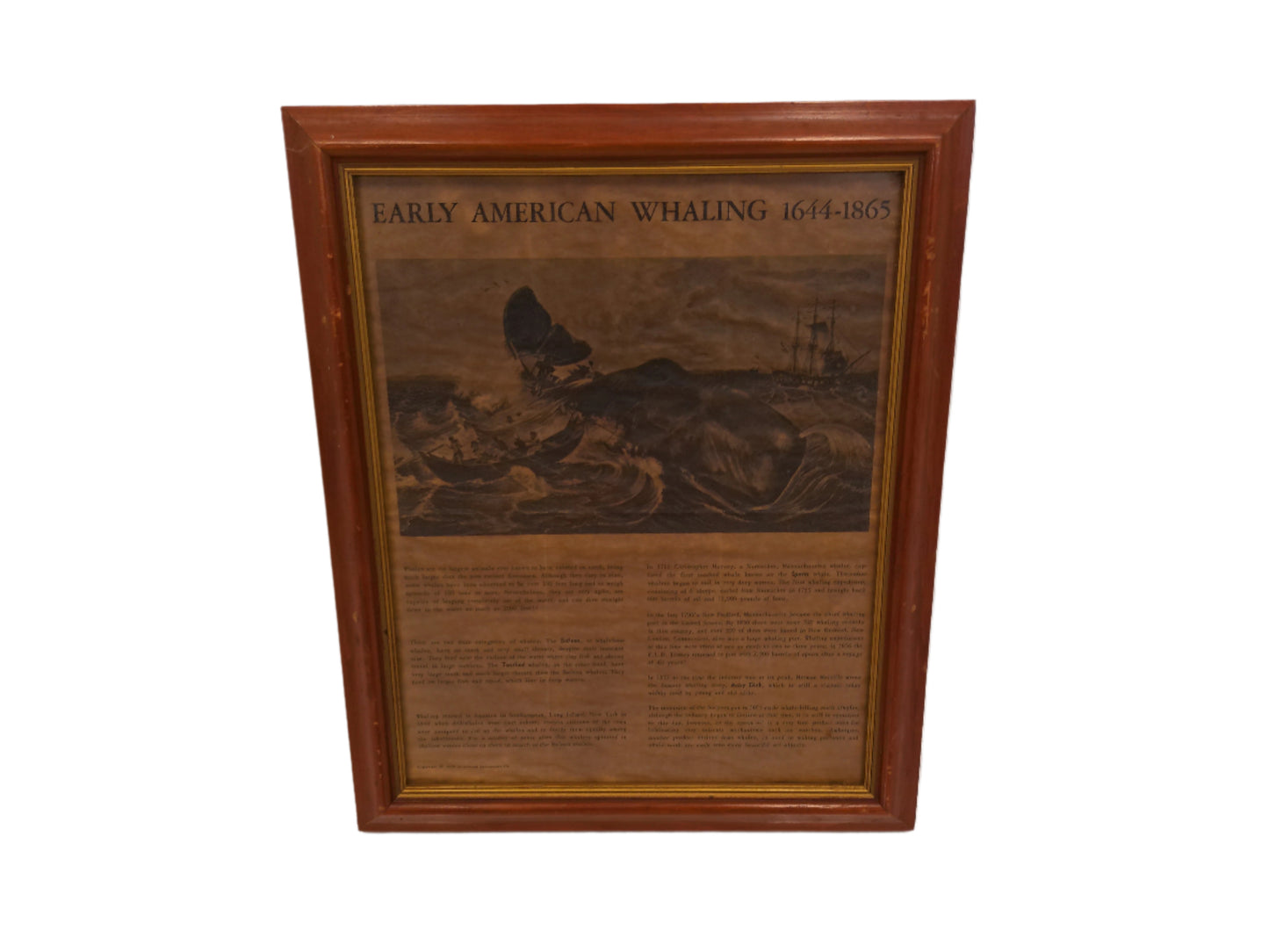 Art Newpaper Article Early 1900's about American Whaling 1644-1865