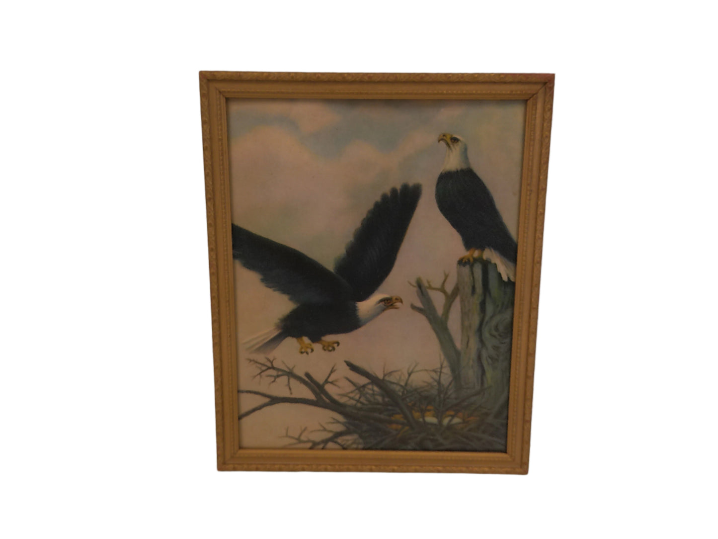 Art Painting Eagle Parents Protecting their Eggs Wood Framed