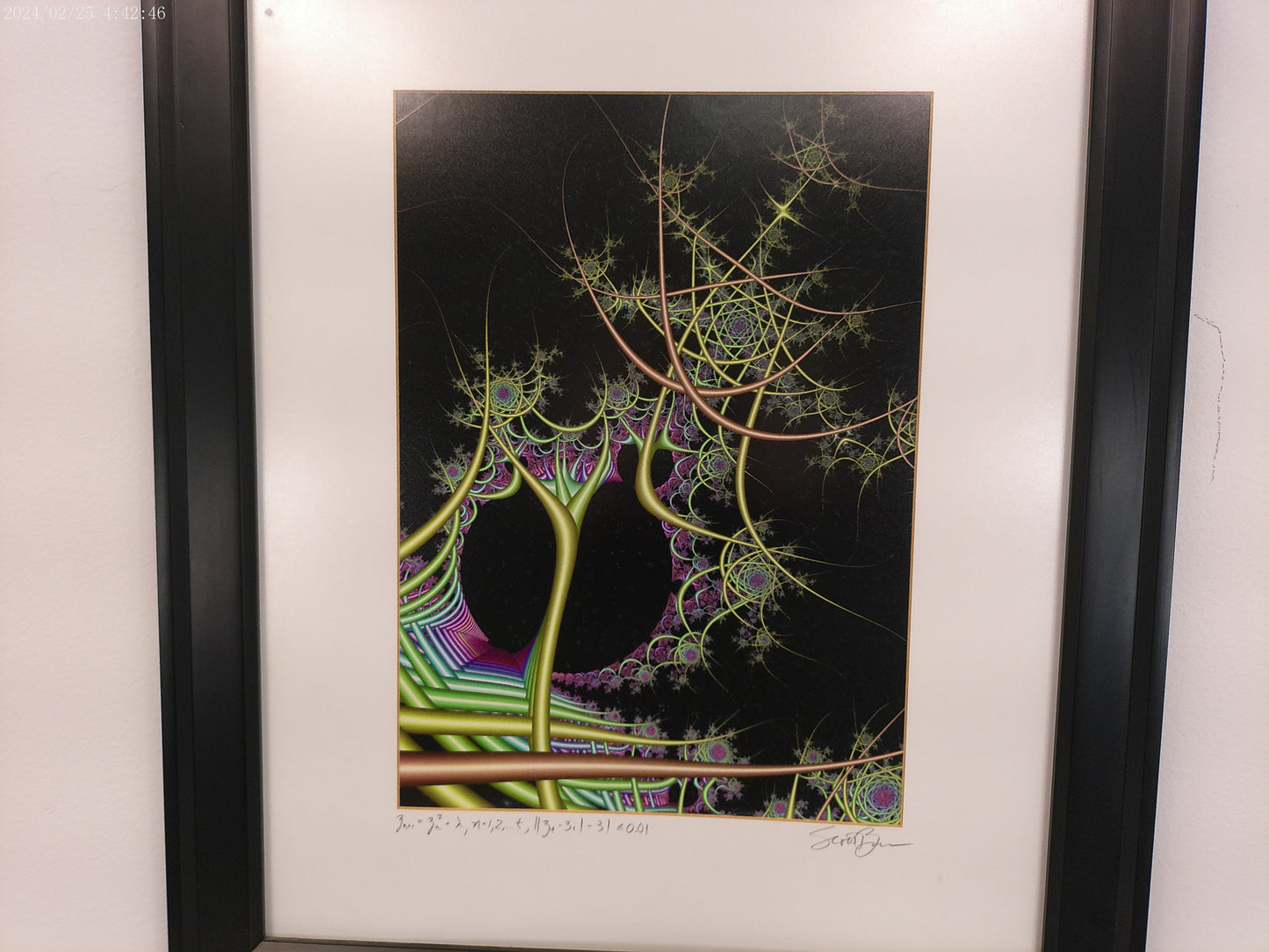 Art Quadratic Function by Scott Burns Abstract Pop Art Psychedelic Print