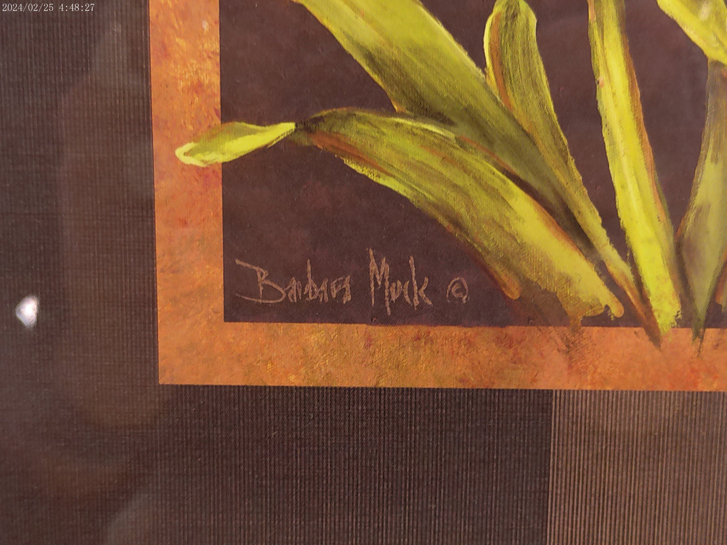 Art Signed Print Framed with glass Flowers Tropical treasures IV by Barbara Mock
