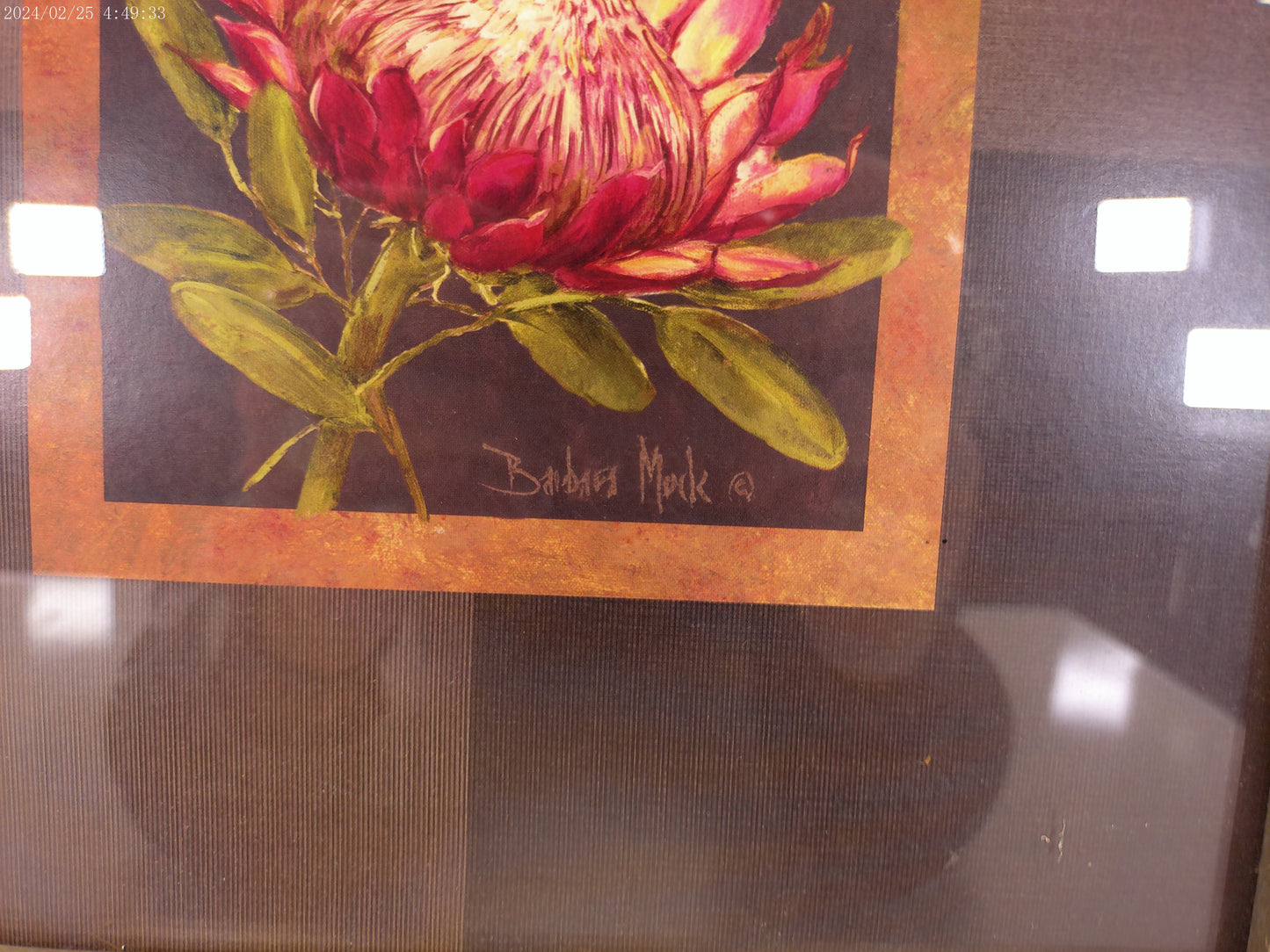 Art Signed Print Framed with glass Tropical treasures 2 by Barbara Mock