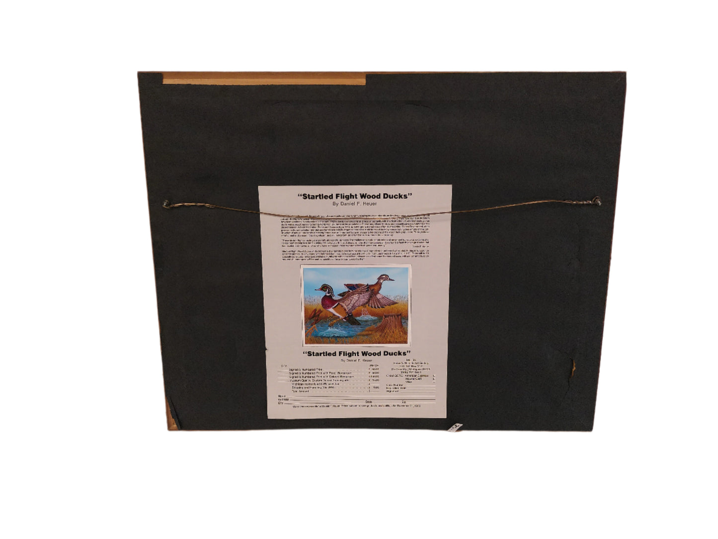 Art "Startled Flight Wood Ducks" signed Framed print by Daniel F. Hauer
