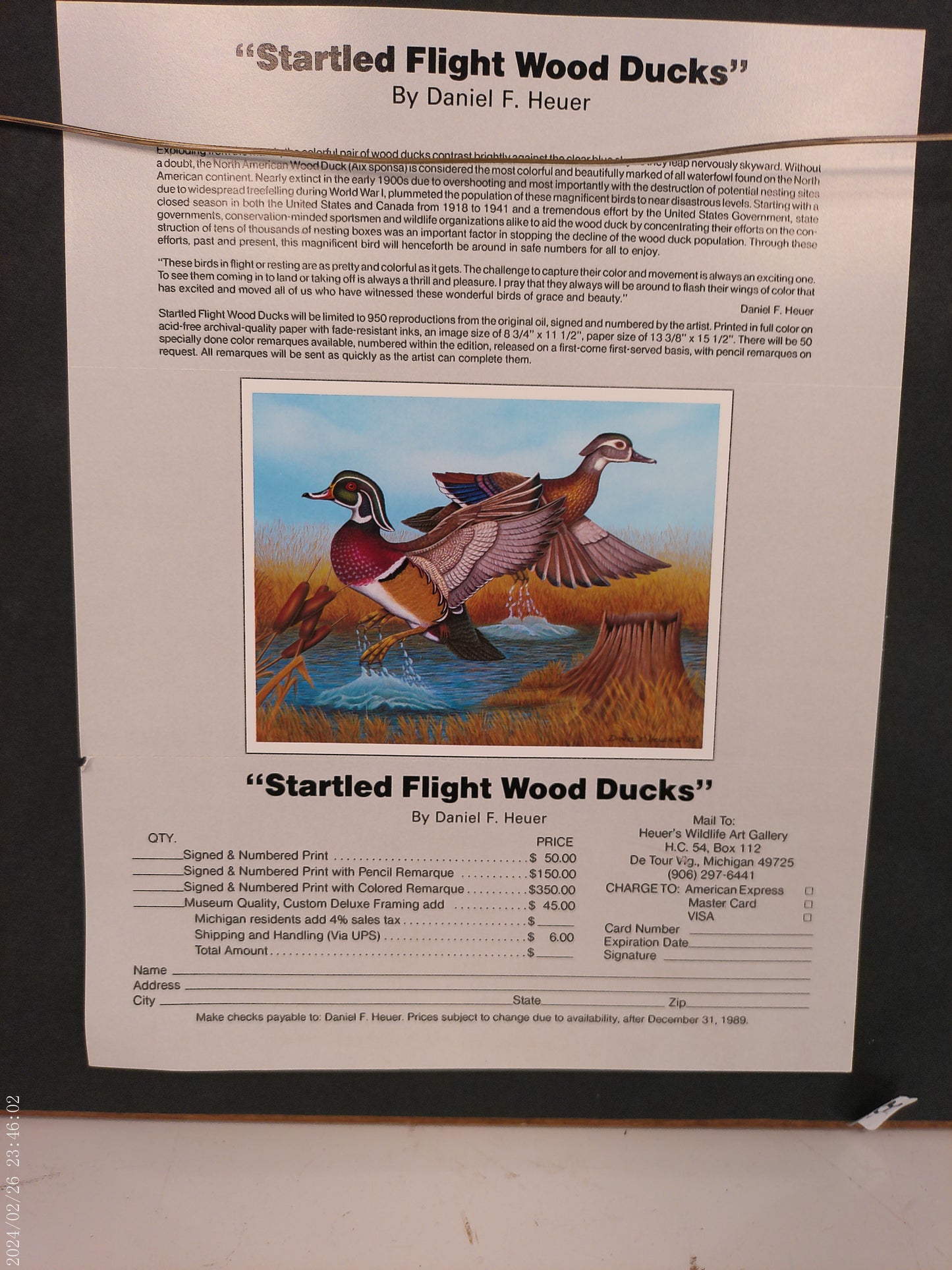 Art "Startled Flight Wood Ducks" signed Framed print by Daniel F. Hauer