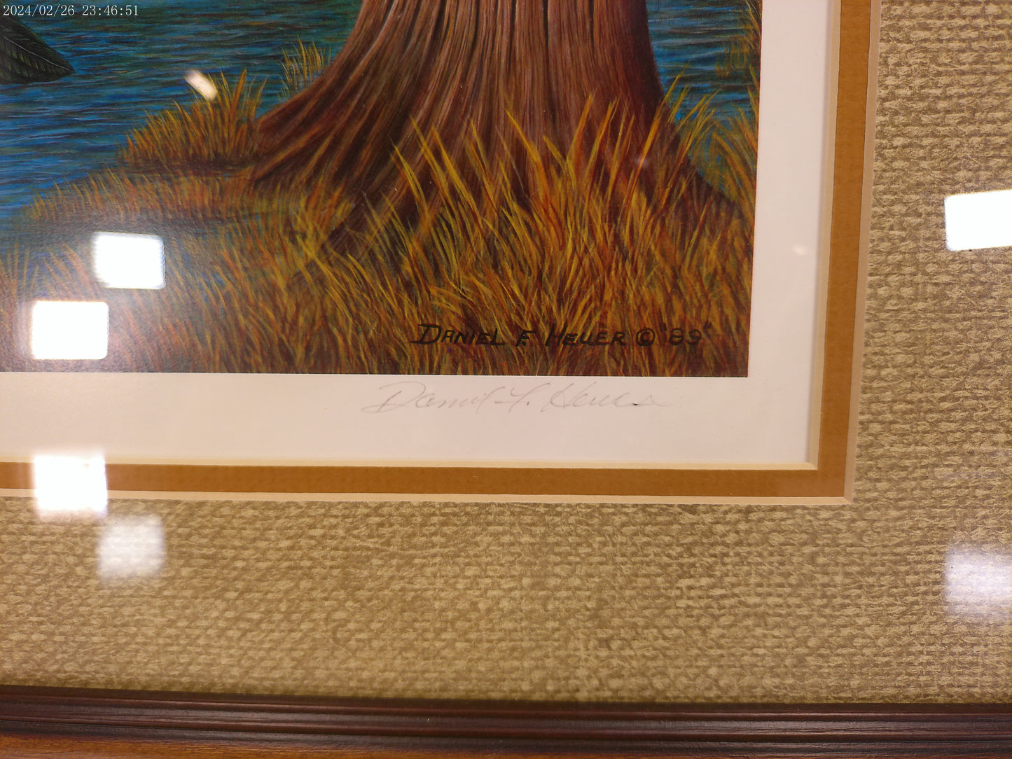 Art "Startled Flight Wood Ducks" signed Framed print by Daniel F. Hauer