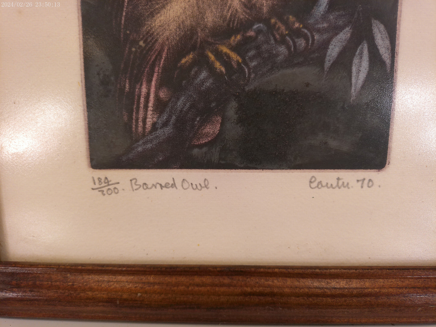 Art Barn Owl by Jack Coutu Signed Print Limited Edition Etching