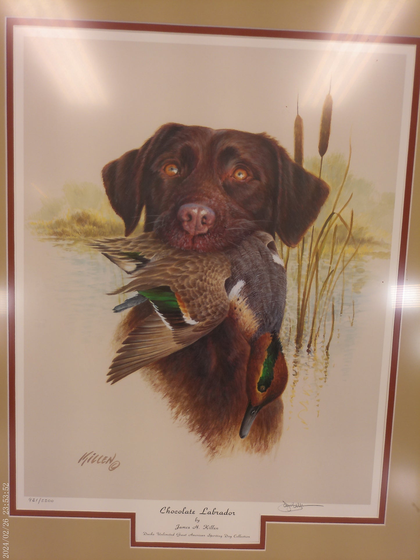 Art James Killen Chocolate Lab Open Edition Dog Hunting Art Signed Print