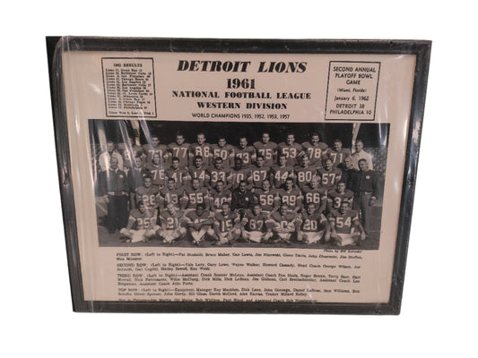 Art Photo print 1961 Detroit Lions National Football Leaque Team Photo
