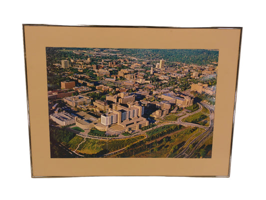 Art U of M Hospital 1986 Dedication