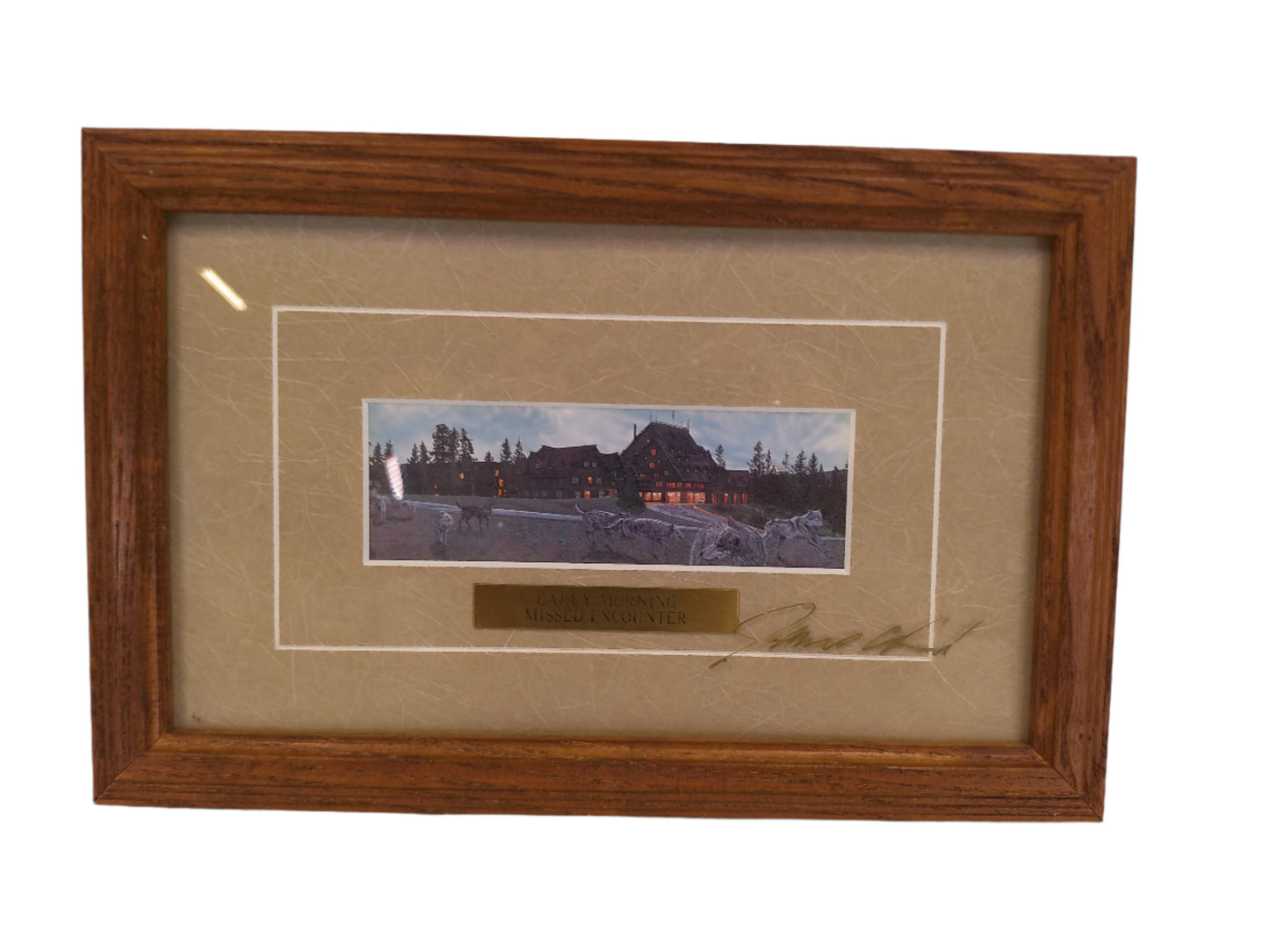 Art Early Morning Missed Encounter painting Pack of Wolfs signed print National Park