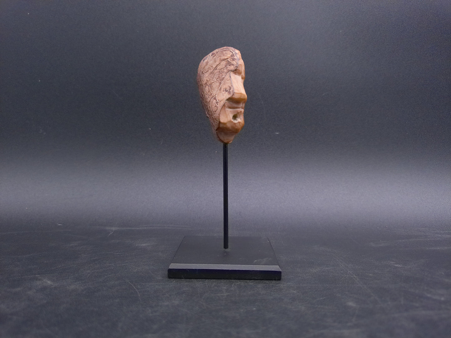 Bust Head Carved Corozo Tagua Nut Portrait Head Vintage