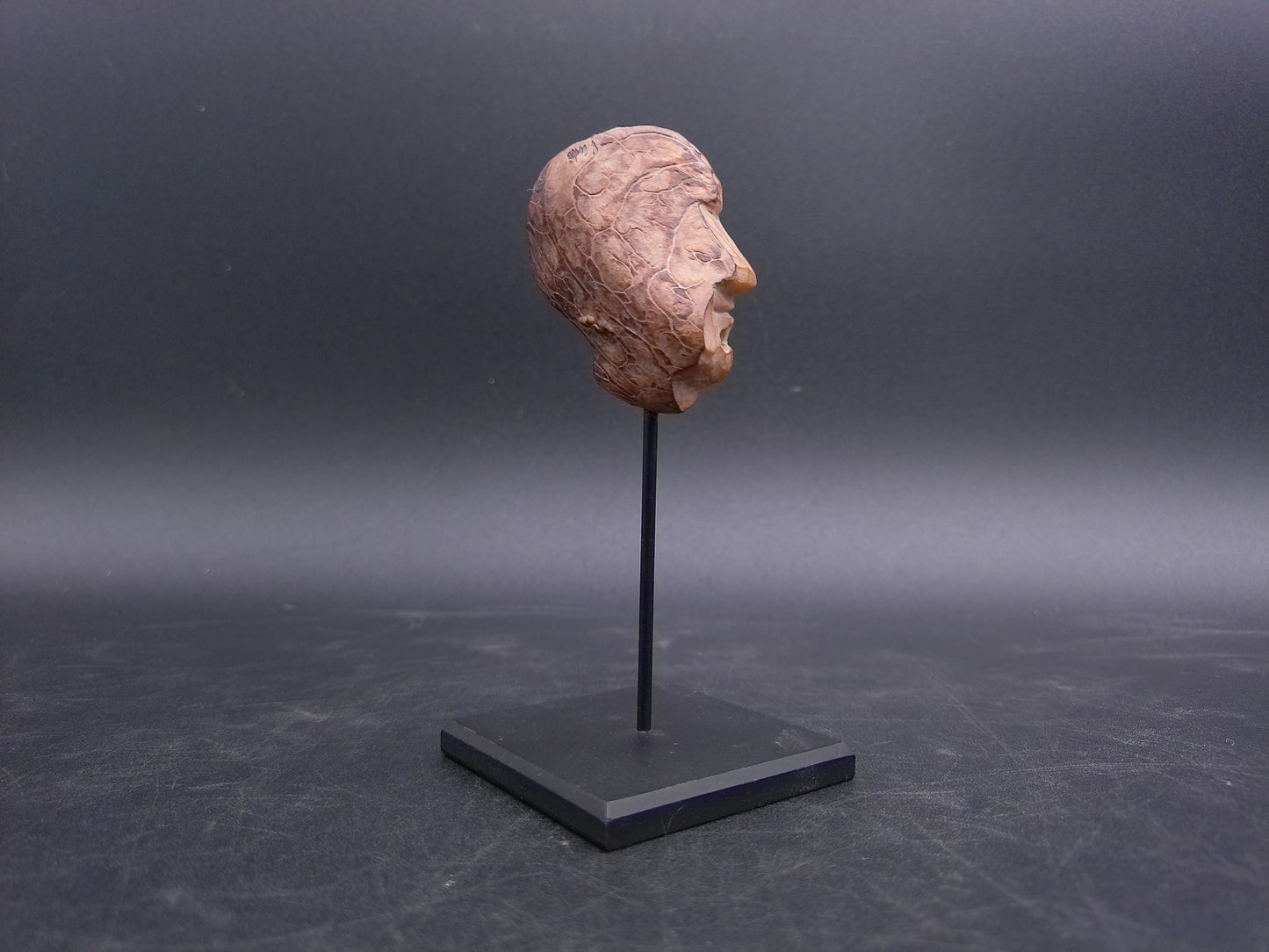 Bust Head Carved Corozo Tagua Nut Portrait Head Vintage