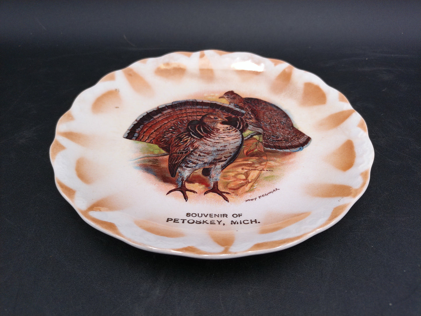 Turkey Plate Dish Petoskey Michigan Made by East Liverpool Co.