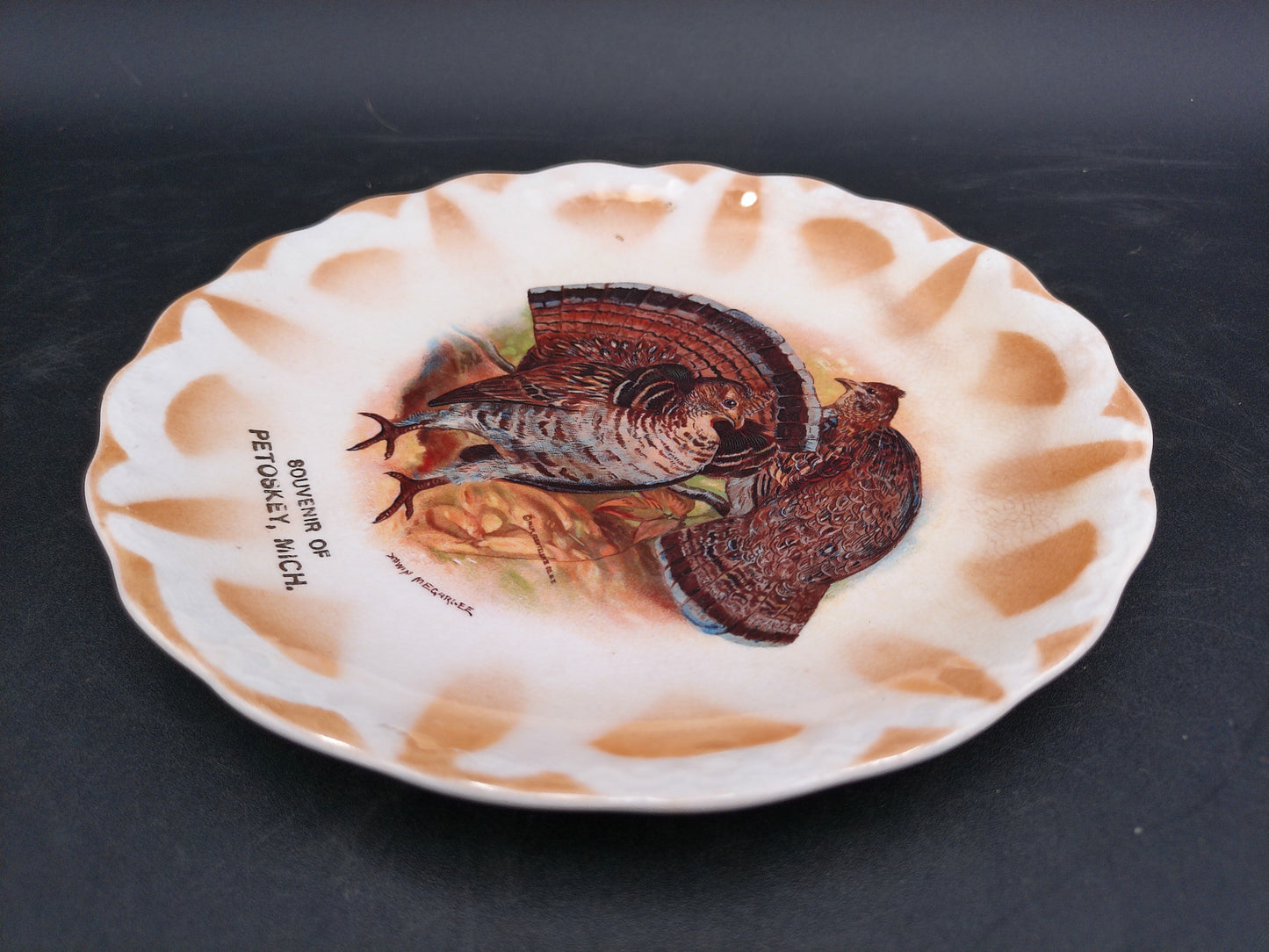 Turkey Plate Dish Petoskey Michigan Made by East Liverpool Co.