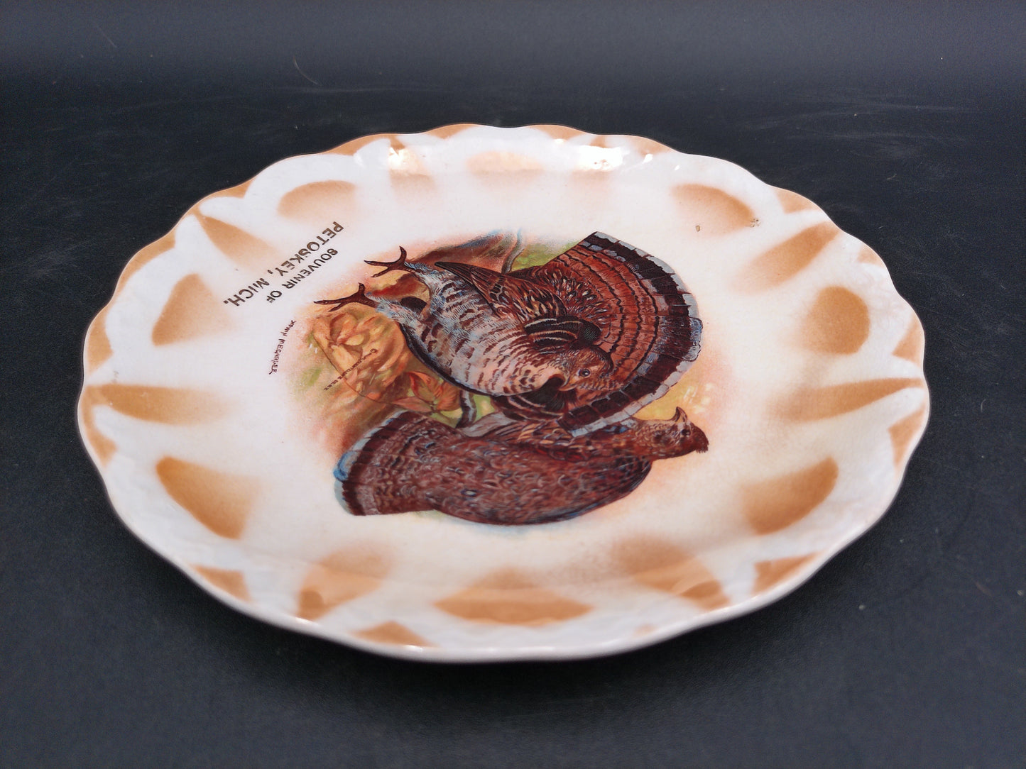 Turkey Plate Dish Petoskey Michigan Made by East Liverpool Co.