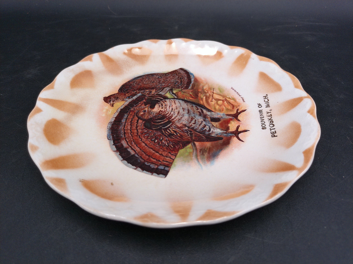 Turkey Plate Dish Petoskey Michigan Made by East Liverpool Co.