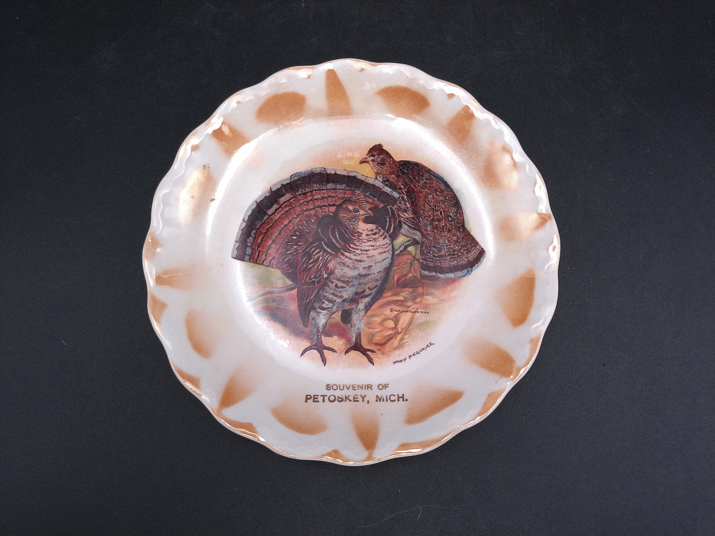 Turkey Plate Dish Petoskey Michigan Made by East Liverpool Co.