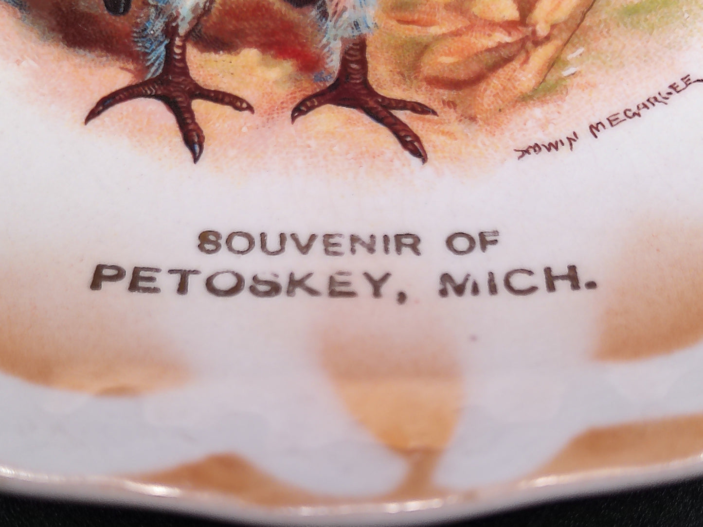 Turkey Plate Dish Petoskey Michigan Made by East Liverpool Co.