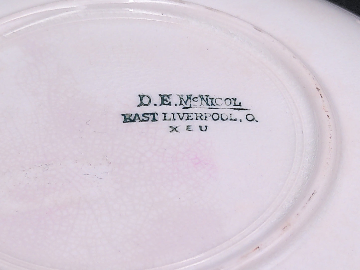 Turkey Plate Dish Petoskey Michigan Made by East Liverpool Co.
