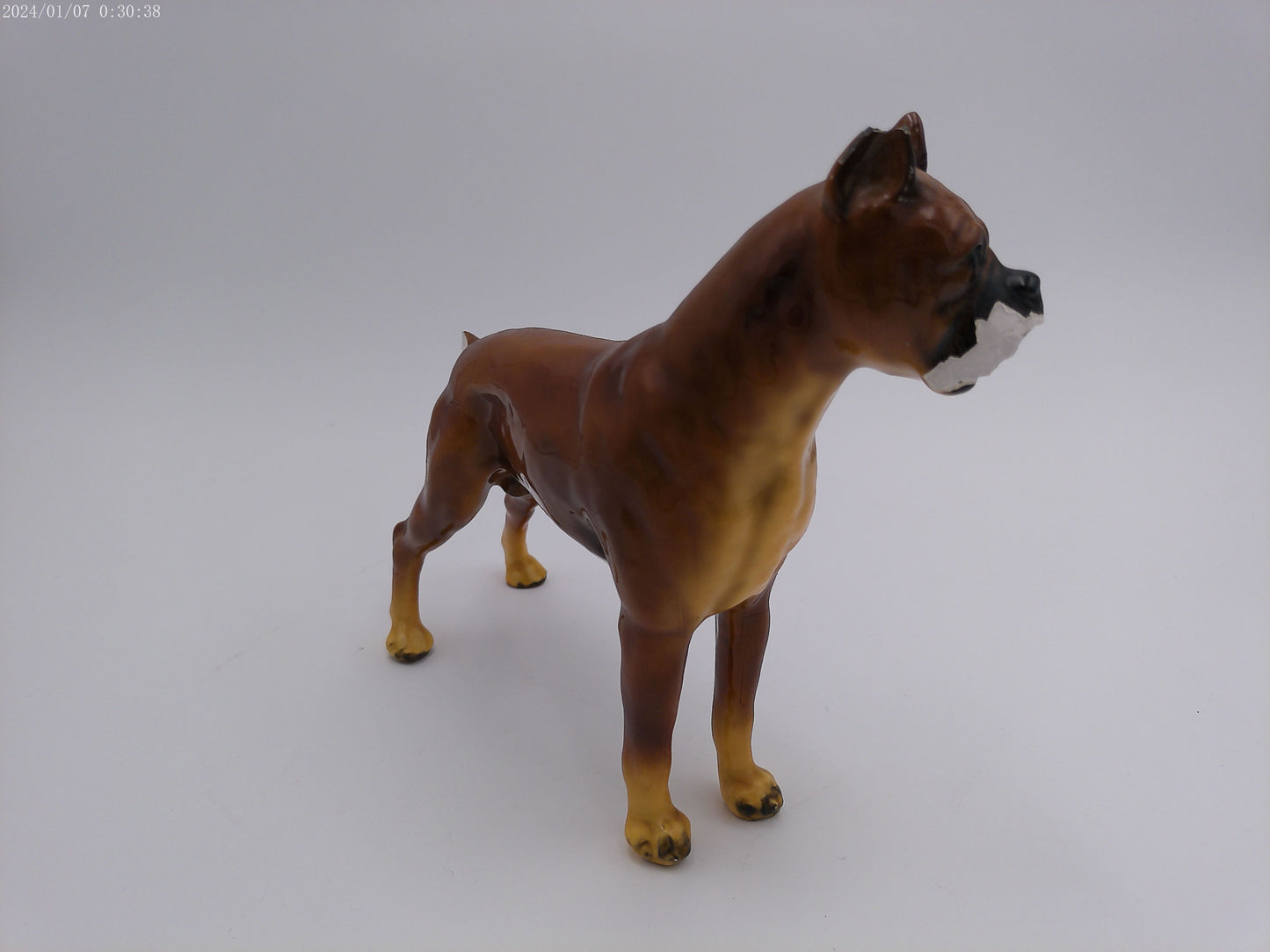 ROYAL DESIGN 6 BOXER DOG FIGURINES STATUES PORCELIAN