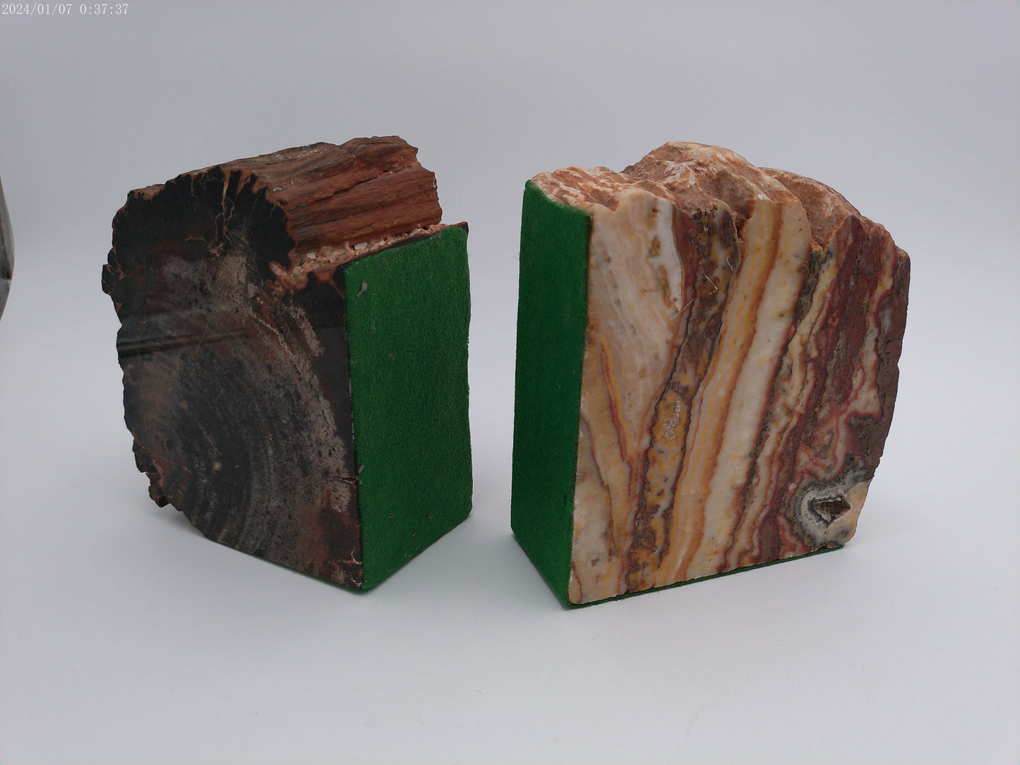 Pair of Petrified Wood Book Ends