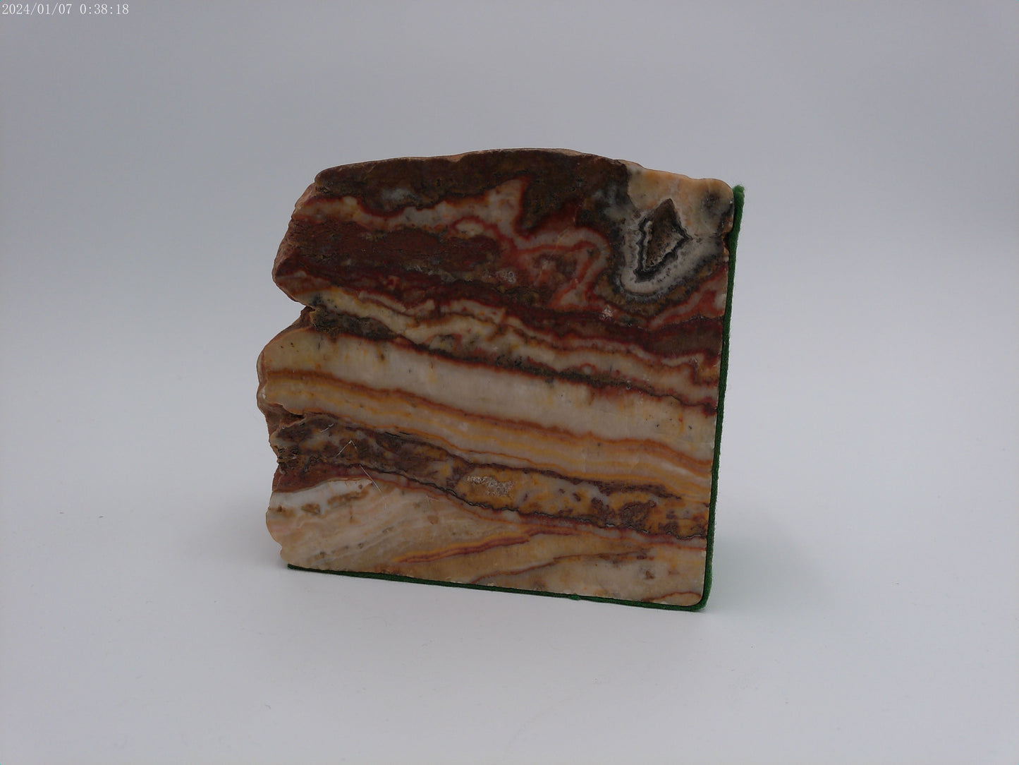 Pair of Petrified Wood Book Ends