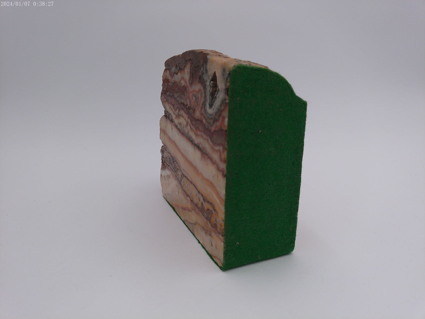 Pair of Petrified Wood Book Ends