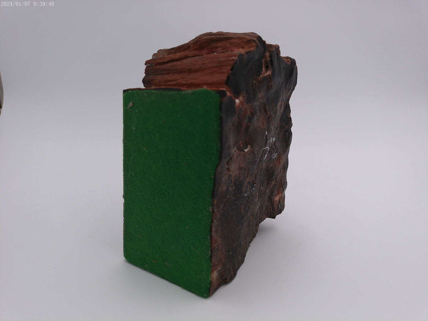 Pair of Petrified Wood Book Ends