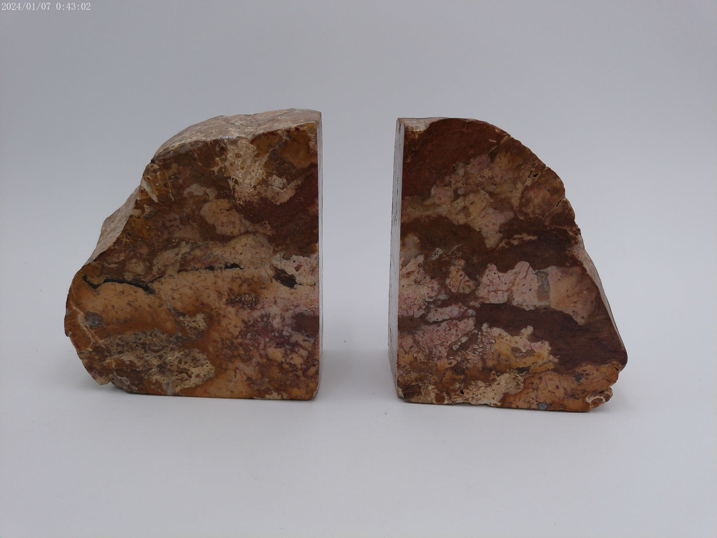 Pair of Vintage Stone Petrified Bookends