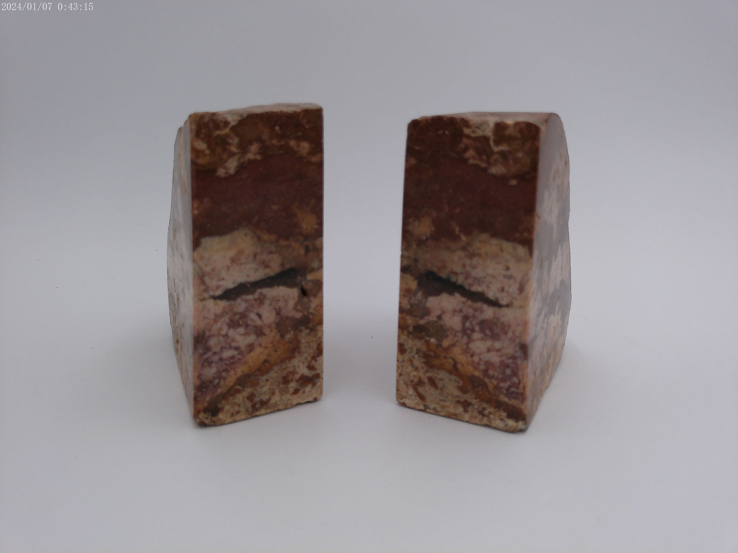 Pair of Vintage Stone Petrified Bookends