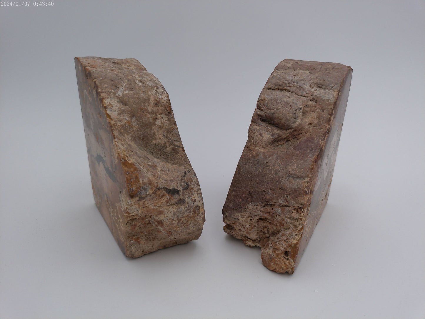 Pair of Vintage Stone Petrified Bookends