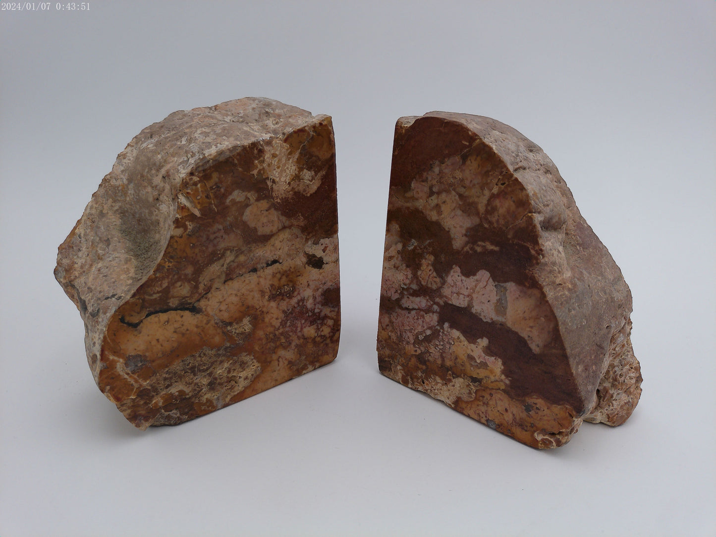 Pair of Vintage Stone Petrified Bookends