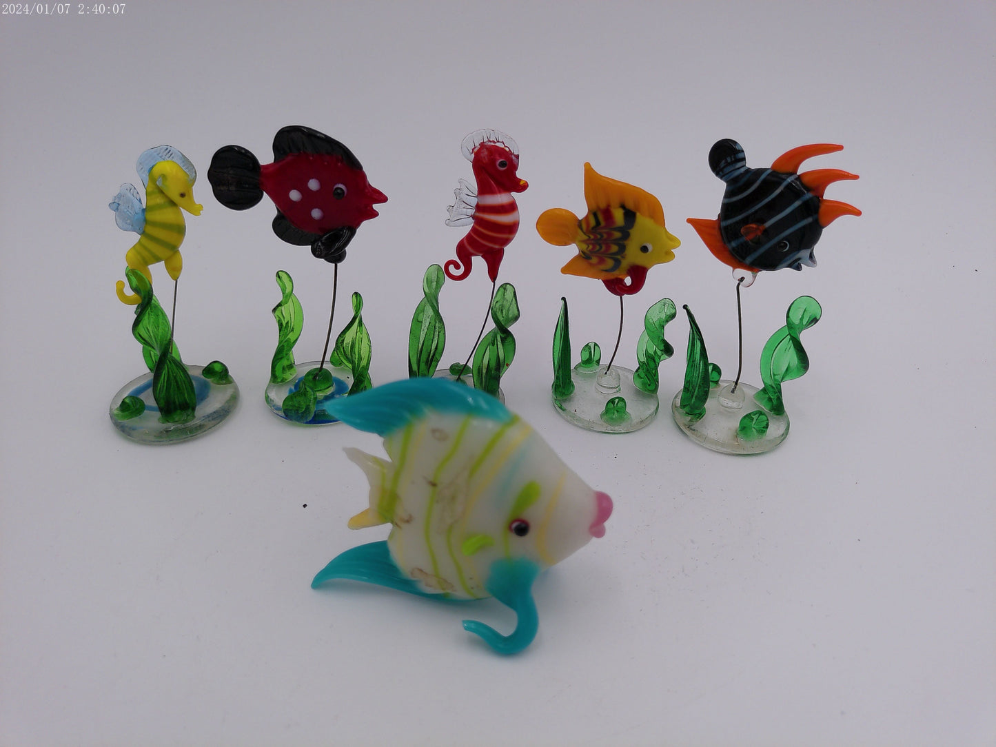 Collection of 6 Glass Fish Hand Blown