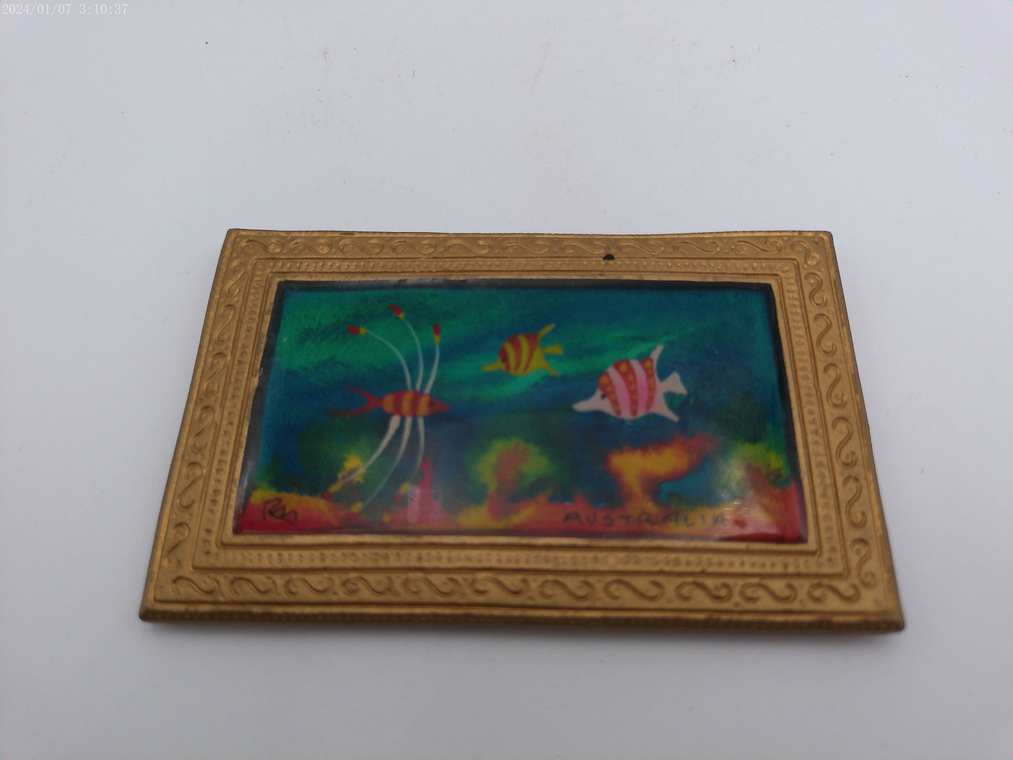 Wooden Hand Craved Fish with bonus framed fish