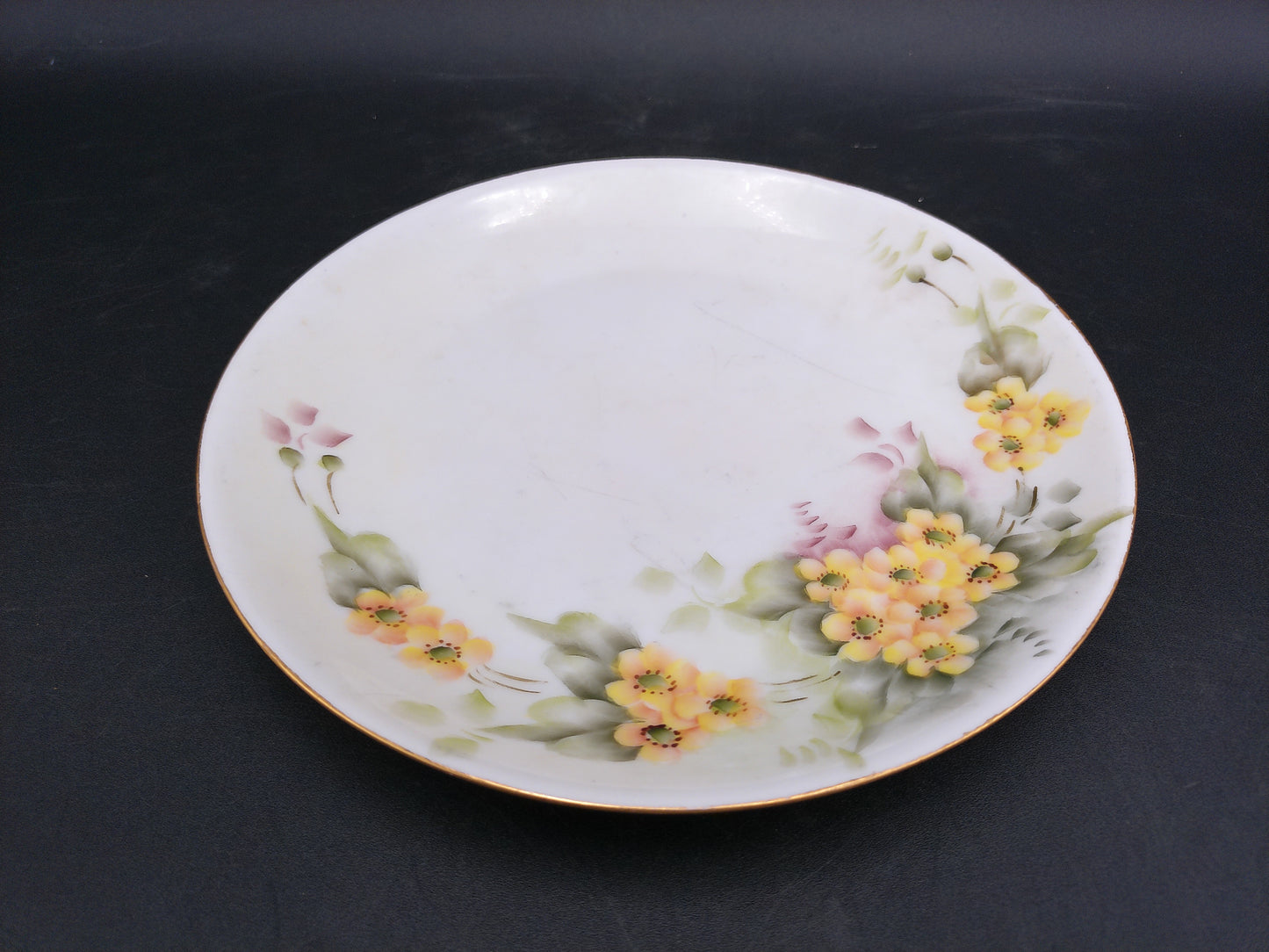 Bavarian Plate Yellow Blue Flowers Hand Painted From Hutschenreuther Selb Germany