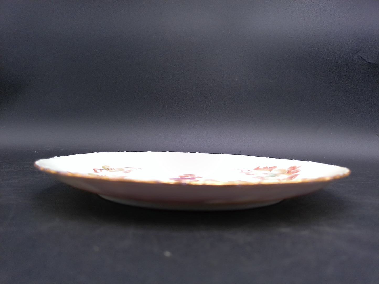 Decorative Plate with Hand Painted Graphs 22k Karat Gold Rim Bavarian Porcelain by R.C. Versaille