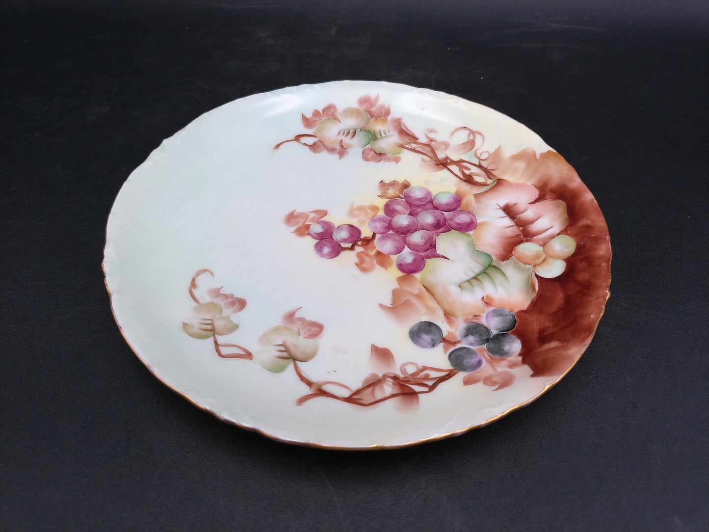 Decorative Plate with Hand Painted Graphs 22k Karat Gold Rim Bavarian Porcelain by R.C. Versaille