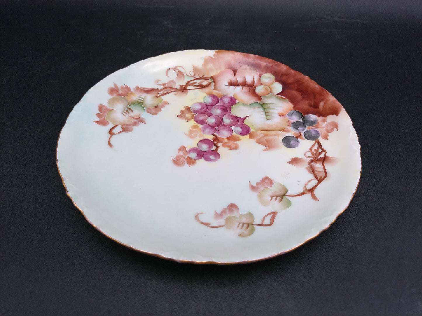 Decorative Plate with Hand Painted Graphs 22k Karat Gold Rim Bavarian Porcelain by R.C. Versaille