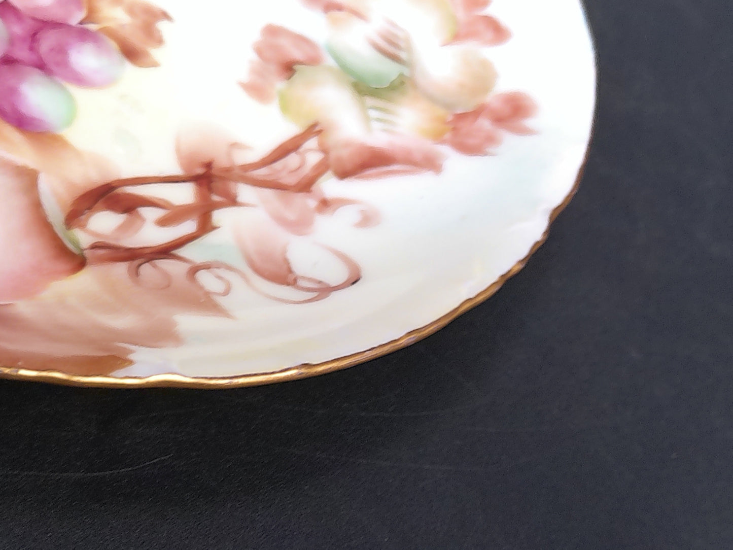 Decorative Plate with Hand Painted Graphs 22k Karat Gold Rim Bavarian Porcelain by R.C. Versaille