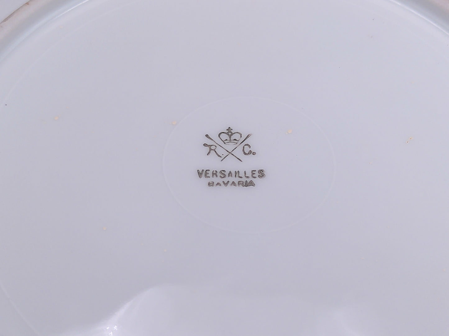 Decorative Plate with Hand Painted Graphs 22k Karat Gold Rim Bavarian Porcelain by R.C. Versaille