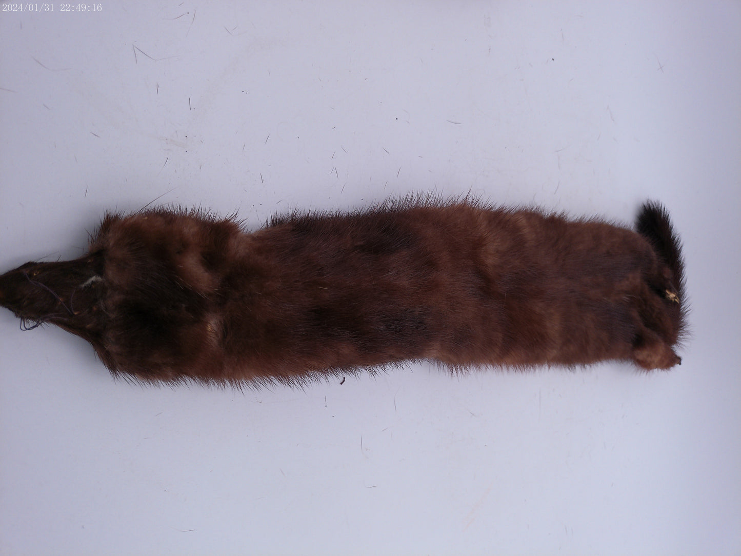 Lot of 4 mink pelts Vintage Fur Stole   4 Heads & Tails