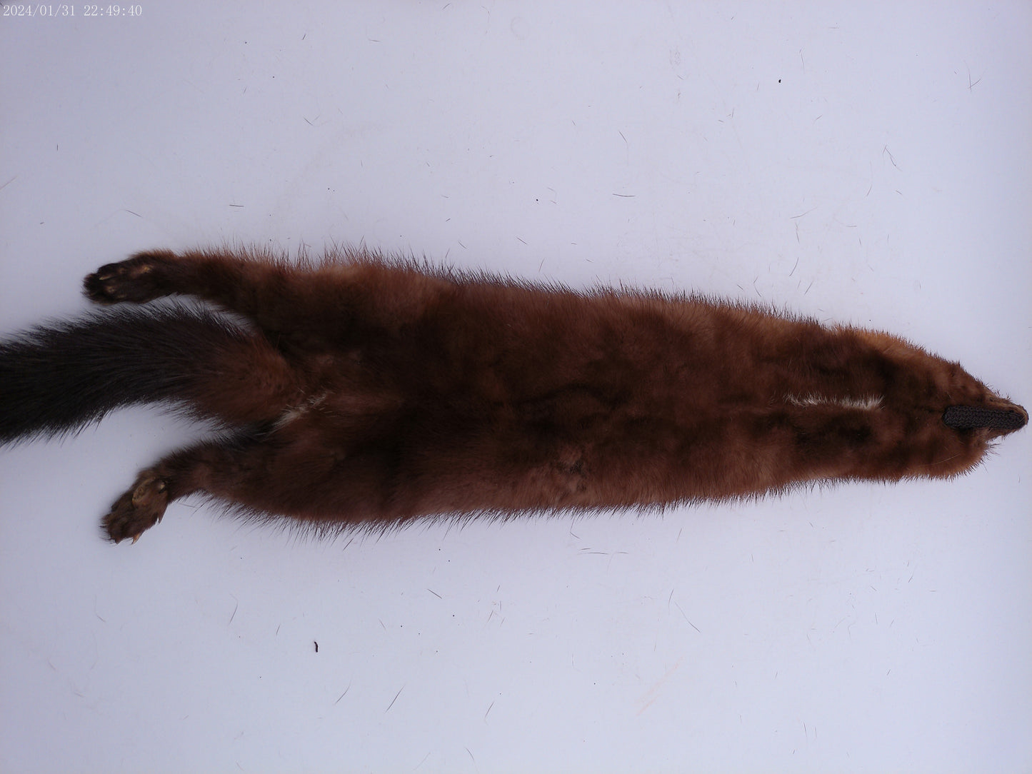 Lot of 4 mink pelts Vintage Fur Stole   4 Heads & Tails