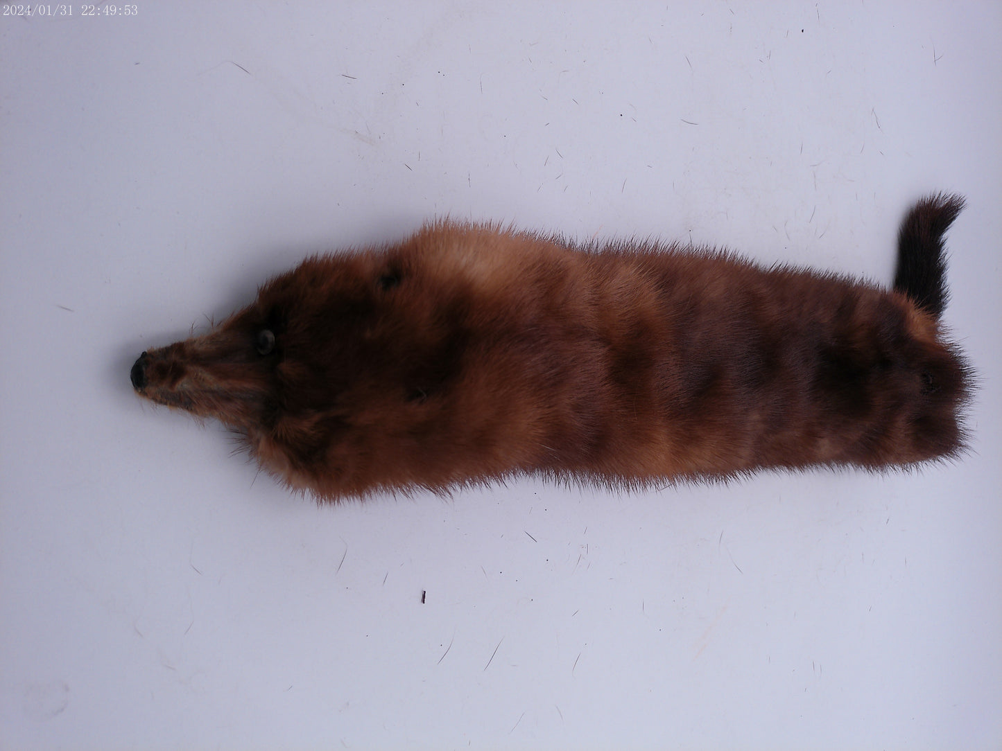 Lot of 4 mink pelts Vintage Fur Stole   4 Heads & Tails