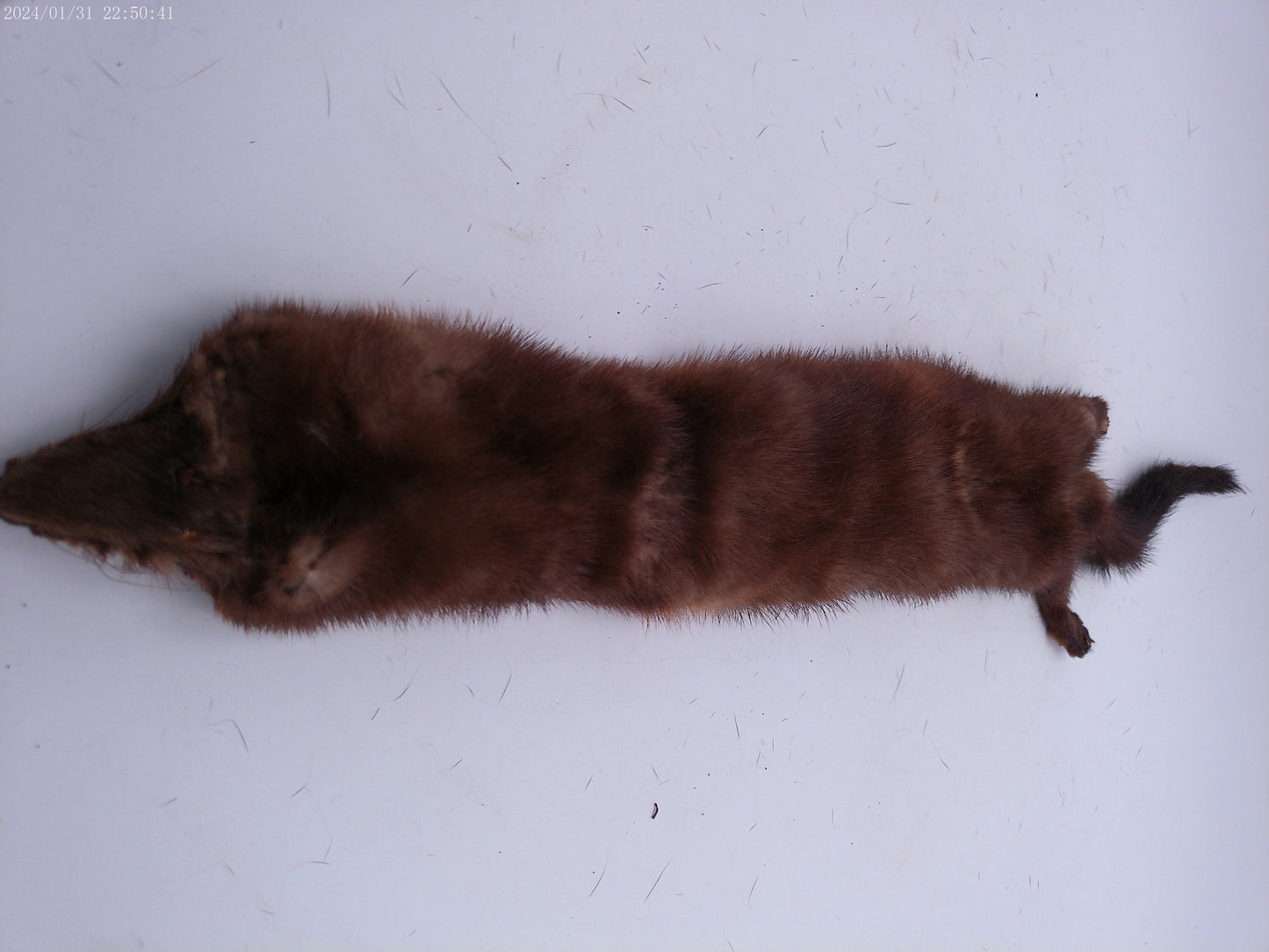 Lot of 4 mink pelts Vintage Fur Stole   4 Heads & Tails