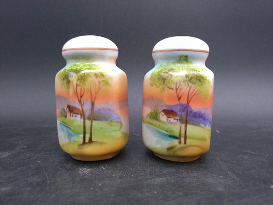 Japanese Salt and Pepper Shakers Vintage Made in Japan