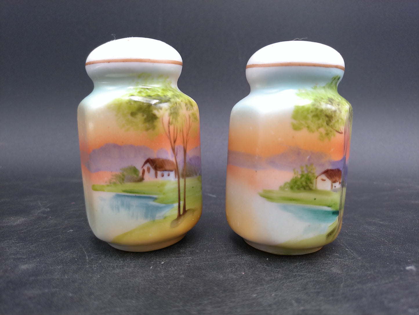 Japanese Salt and Pepper Shakers Vintage Made in Japan
