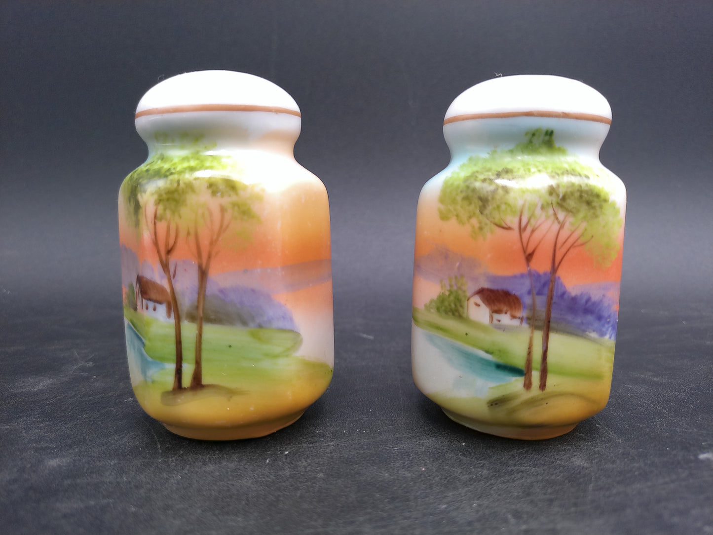 Japanese Salt and Pepper Shakers Vintage Made in Japan